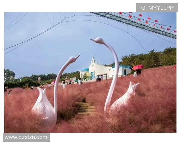 亚松森国民与漫塔海豚的精彩对决揭幕足球激情之夜